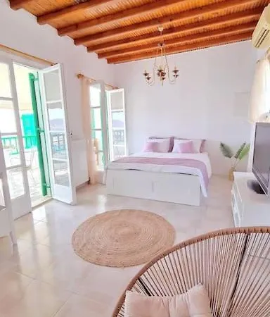 Garden House Of Mykonos Lägenhet